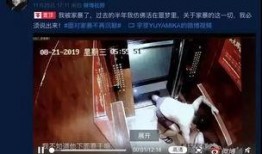八点爆料家暴视频大全集,家暴视频大全集深度解析