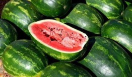 澳洲网红吃瓜视频大全,趣味横生的娱乐盛宴