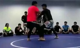 张太海爆料王占海视频全集,揭秘背后惊人内幕